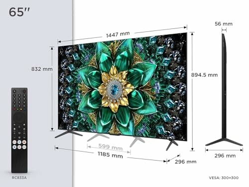 65 Zoll Fernseher mit Abmessungen und Fernbedienung